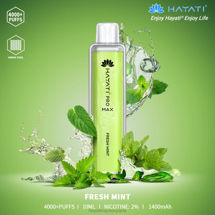 menta fresca